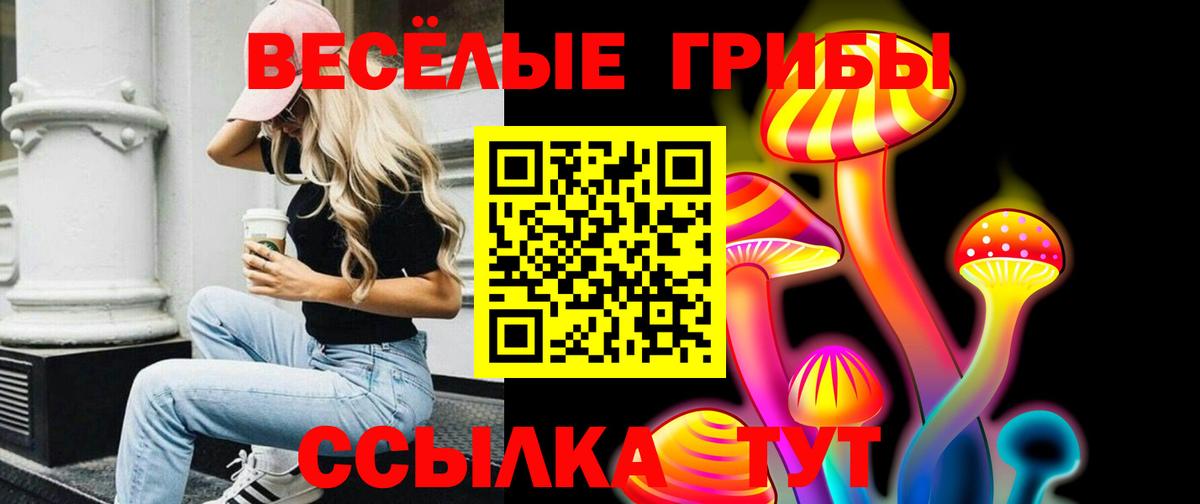 Электросталь  Галлюциногенные грибы MAGIC MUSHROOMS  купить  цена  Вход с VPN 